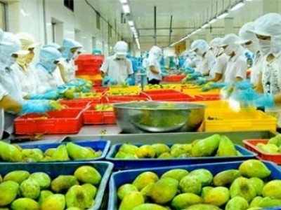 Nhiều mặt hàng nông sản chủ lực giảm kim ngạch xuất khẩu 7 tháng đầu năm