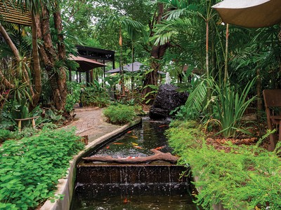 Ao cá trong vườn