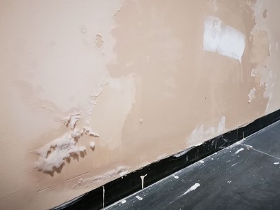 Và nấm mốc, lên rêu…