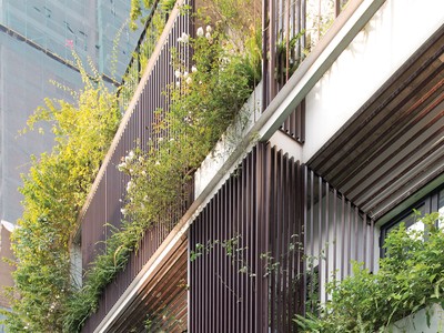 Không gian xanh đang được vận dụng nhiều hơn vào các công trình