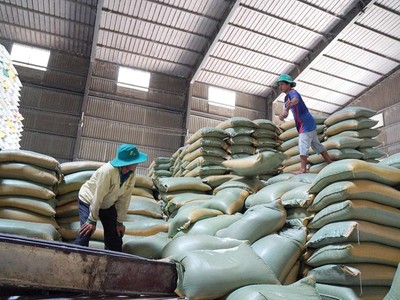 Nông sản Việt xuất khẩu sang Trung Quốc cần minh bạch thông tin nguồn gốc xuất xứ.