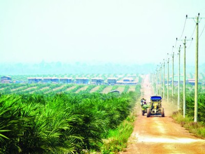 HAGL chỉ còn sở hữu trực tiếp 40,83% vốn HAGL Agrico