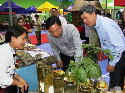 Ông Lê Trí Thanh - Phó Chủ tịch UBND tỉnh Quảng Nam trong lần kiểm tra sản phẩm sâm Ngọc Linh tại huyện Nam Trà My.
