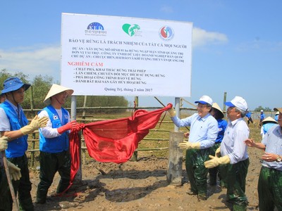 Tổ chức Hàn Quốc hỗ trợ trồng rừng ngập mặn tại xã Triệu Phước (Triệu Phong, Quảng Trị).