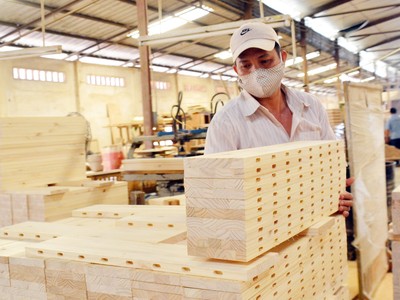 Tăng trưởng xuất khẩu 9 tháng chủ yếu đạt được từ tăng giá trị xuất khẩu lâm sản chính, đạt 7,93 tỷ USD, tăng 18%. 