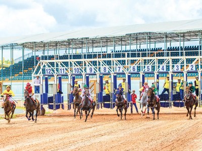 Ở phía Nam, mới có trường đua ngựa ở Bình Dương, nhưng dự án này chưa được phép kinh doanh đặt cược. Ảnh: Đại Nam