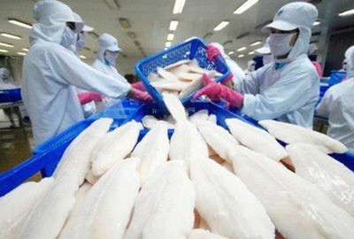 Với khoản lỗ lớn trong năm nay, lỗ luỹ kế của Hùng Vương đã tăng lên mức 892 tỷ đồng