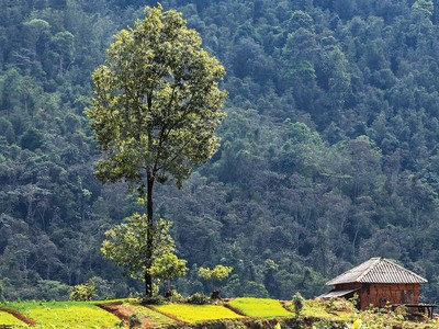 Quản lý phát thải carbon: Doanh nghiệp Việt không quan tâm sẽ chậm