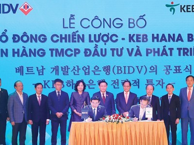 Dấu ấn vốn chiến lược vào ngân hàng 2019