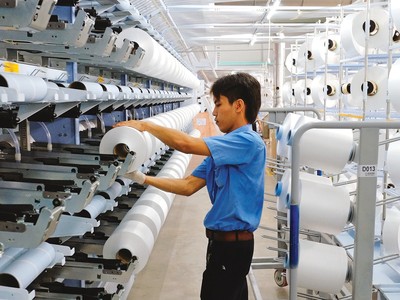 Xoay trục sản phẩm, Sợi Thế Kỷ vững vàng tăng trưởng