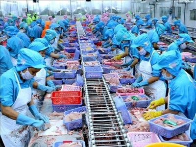 Năm 2019 là năm thứ 4 thương mại của Việt Nam đạt xuất siêu với mốc 10 tỷ USD.