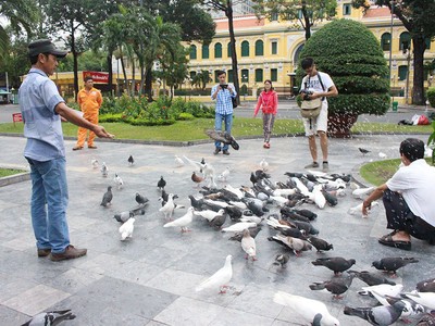 Ảnh minh họa (nguồn internet)