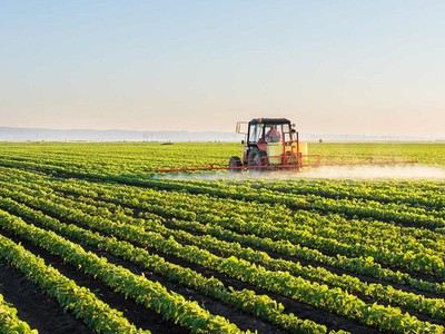 Thế khó của bất động sản nông nghiệp