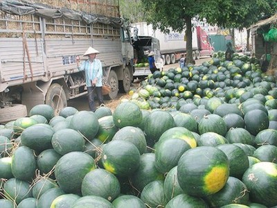 Các địa phương như Lạng Sơn, Lào Cai, Quảng Ninh, các doanh nghiệp, hiệp hội ngành hàng phải theo dõi chặt diễn biến xuất khẩu nông sản sang Trung Quốc dịp trước và sau Tết Nguyên đán.