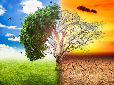 Tổng quan phong thủy năm Canh Tý 2020