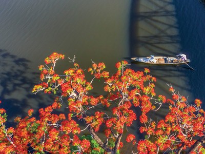 Khi bối cảnh phim thành địa điểm du lịch