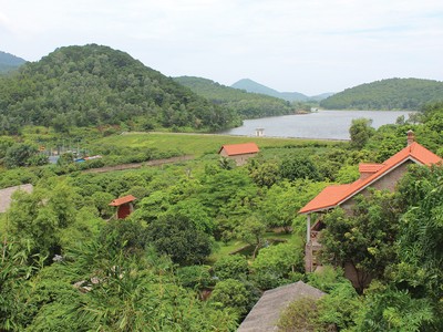 Đất vườn: Thiếu nữ sắp dậy thì