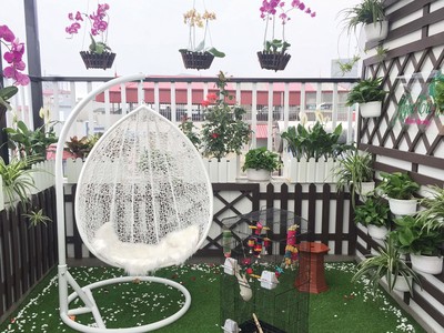 Bóng cây ngang trời