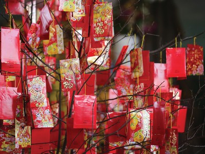 Nhìn nhận về lá số Tử vi