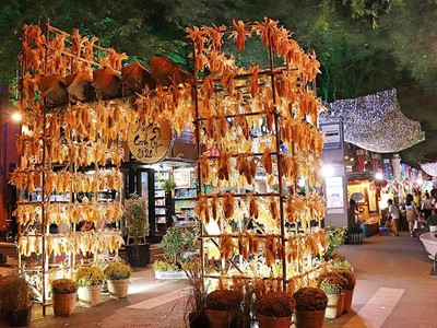 Không khí Tết tại đường sách TP.HCM