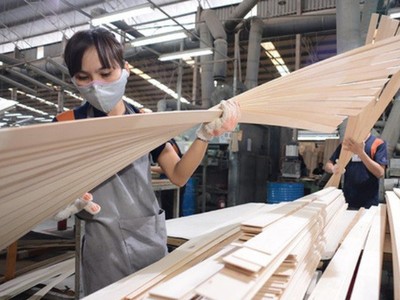 Thương nhân khai báo tự nguyện thông tin về năng lực sản xuất gỗ dán xuất khẩu sang Mỹ