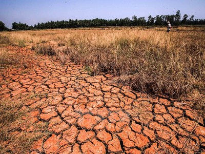 Cấp bách phòng, chống hạn hán, thiếu nước, xâm nhập mặn