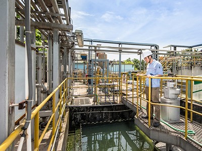 Ảnh minh họa. Nguồn: Internet