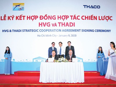 Với tỷ phú Trần Bá Dương, sự hợp tác giữa HVG và Thadi là cơ duyên để ông tham gia một lĩnh vực mới.