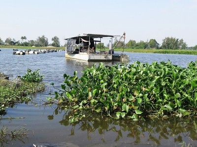 Dự án khơi thông sông Cổ Cò đang được TP. Đà Nẵng và tỉnh Quảng Nam đẩy nhanh tiến độ.