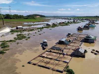 Bè và lồng nuôi cá trên hồ Trị An sẽ được sắp xếp lại