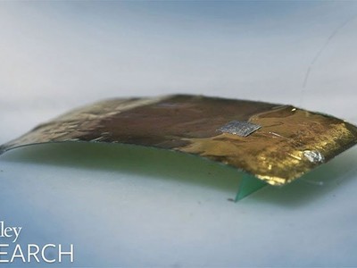 Robot gián có nhẹ hơn hạt cát nhưng có thể chịu trọng lượng lớn gấp một triệu lần