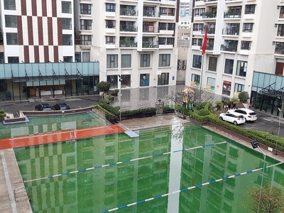 Thời điểm hiện tại, nên hạn chế hoặc dừng hẳn việc sử dụng bể bơi