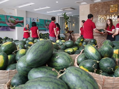 Nhân viên Phúc Khang cùng vận chuyển dưa đi các nơi trao tặng.