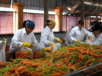 Có gần 9.000 người lao động bị ảnh hưởng vì dịch bệnh do virus Covid-19 gây ra.