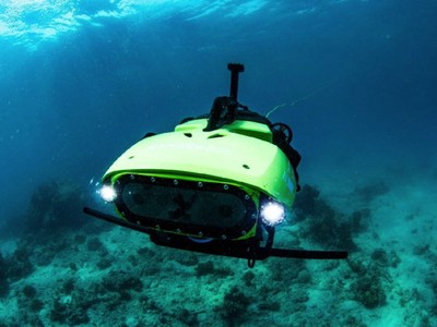 Sử dụng robot để bảo vệ san hô