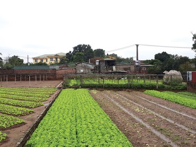 Nhiều trường hợp sai phạm cũ rất khó xử lý 