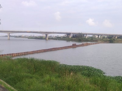 Thành phố Đà Nẵng triển khai tuyến đê ngăn mặn trên sông Cẩm Lệ.