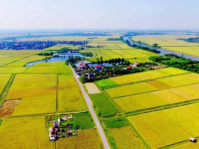 Thủ tục gia hạn thời gian sử dụng đất nông nghiệp