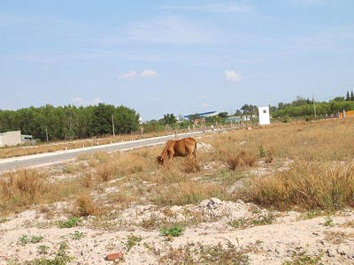 Quyết định 18/2019 của tỉnh Bà Rịa - Vũng Tàu bị  Bộ Tư pháp "tuýt còi". Ảnh: Trọng Tín