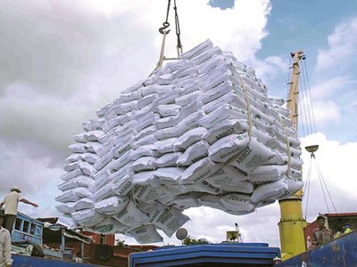 Việc xuất khẩu gạo cần phải xem xét kỹ lưỡng, thận trọng