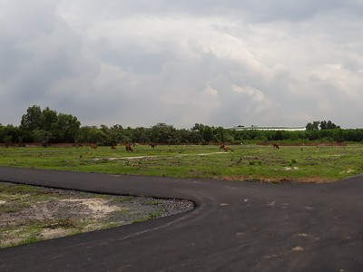 Đẩy nhanh tiến độ giải phóng mặt bằng dự án Sân bay Long Thành