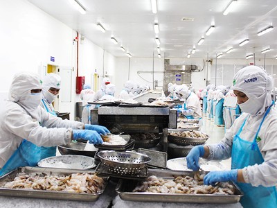 Theo Sở LĐ-TB&XH tỉnh Khánh Hòa, tỉnh này có 32 doanh nghiệp báo cáo về tình hình ảnh hưởng bởi dịch Covid-19. Các doanh nghiệp này đã phải cho hơn 1.770 người lao động nghỉ việc, ngừng việc.