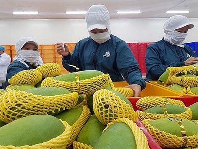 Tính đến 15/4, cả nước đã ghi nhận thêm một số ngành hàng xuất khẩu tỷ USD, gồm: rau quả, cà phê, xơ sợi...