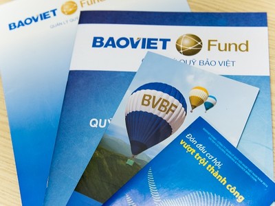 Tăng trưởng 5,06% trong quý I/2020, Quỹ đầu tư trái phiếu Bảo Việt dẫn đầu các quỹ mở nội địa