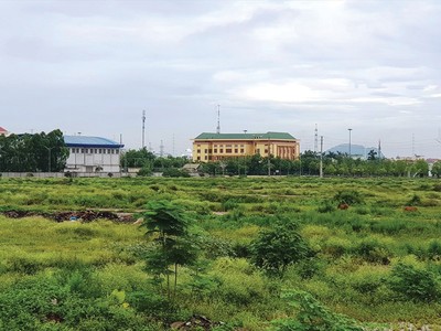 Ninh Bình sẽ đấu giá 60 lô đất bỏ hoang một thập kỷ
