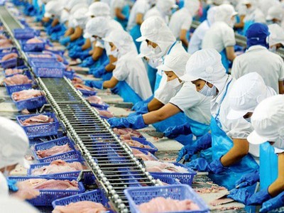 Kỳ vọng EVFTA kéo doanh nghiệp thuỷ sản vượt khó trong bối cảnh đại dịch