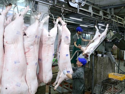 Nguồn cung thiếu hụt là nguyên nhân đẩy giá thịt lợn tăng cao. Quý 1/2020, sản lượng thịt cung ứng ra thị trường giảm 20% so với cùng kỳ.