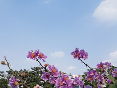 Vững tin với thị trường địa ốc