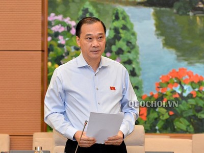 Chủ nhiệm Uỷ ban Kinh tế Vũ Hồng Thanh báo cáo thẩm tra .