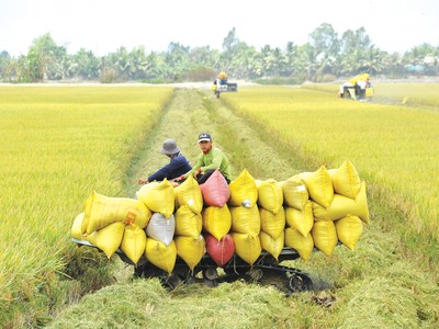 Đẩy mạnh tài chính toàn diện tại Việt Nam: Cách tiếp cận chiến lược cho tăng trưởng